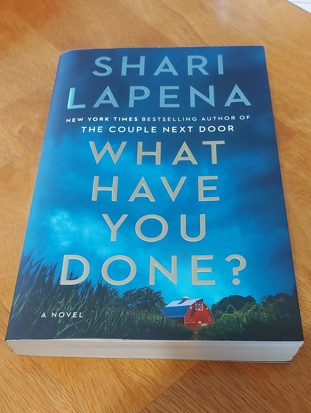 🩵2/$15 Shari Lapena What Have You Done? Paperback Book